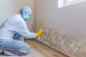 Why You Should Choose Our Mold Remediation Services in Alderwood Manor, WA